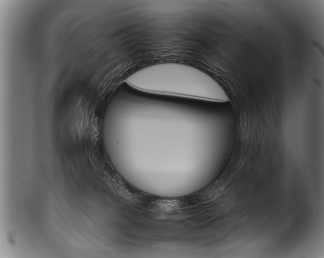 X0000100980085200806241158