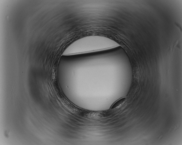 X0000100980086200806241158