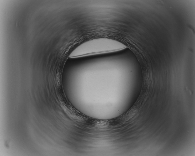 X0000100980088200806241158