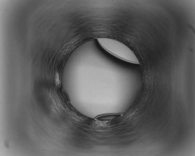 X0000100980089200806241158