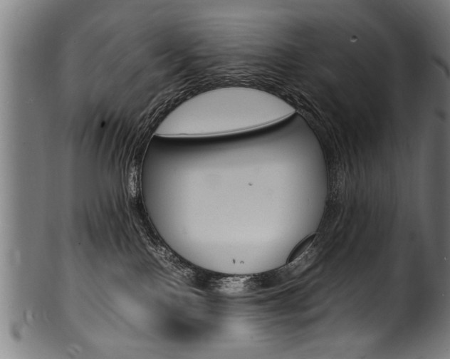 X0000100980090200806241158