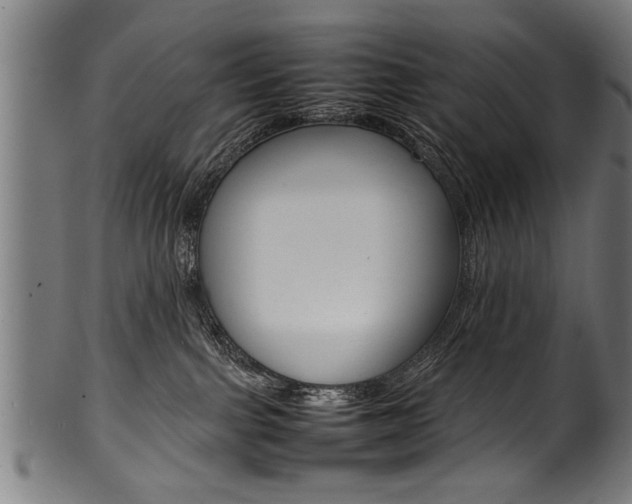 X0000100980091200806241158