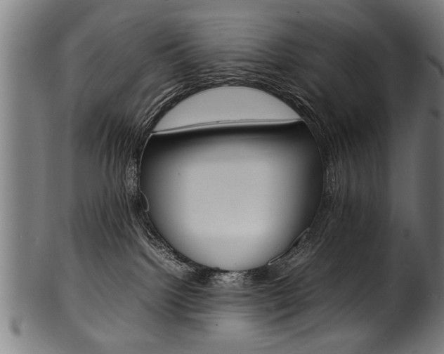 X0000100980092200806241158