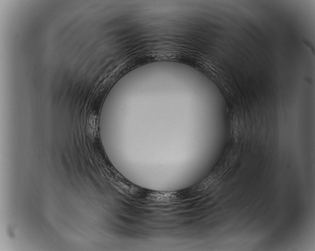 X0000100980093200806241158