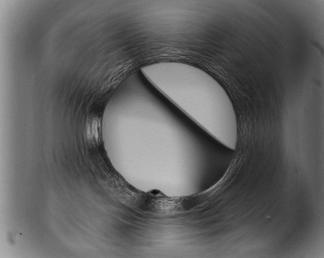 X0000100980094200806241158