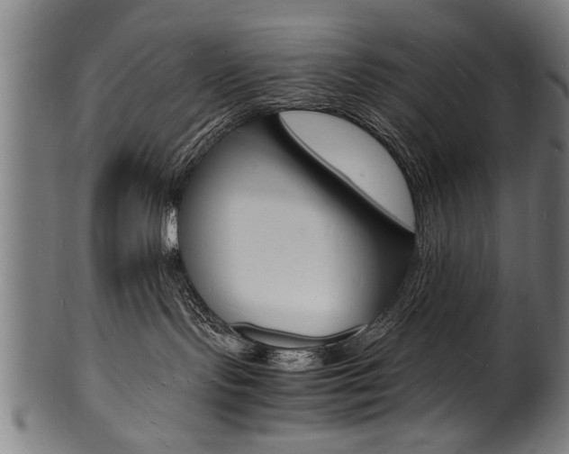 X0000100980095200806241158