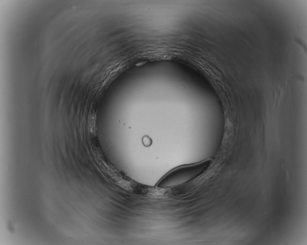 X0000100980096200806241158
