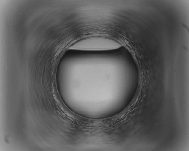 X0000100980097200806241158
