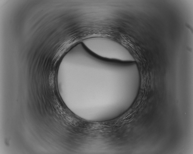 X0000100980098200806241158
