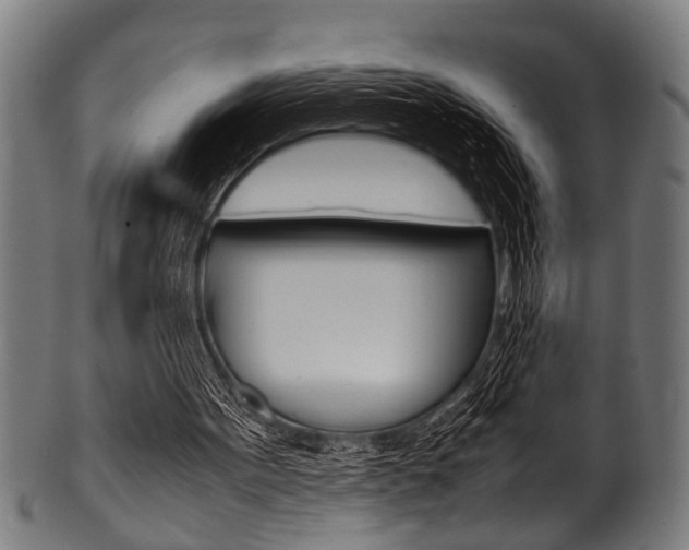 X0000100980099200806241158