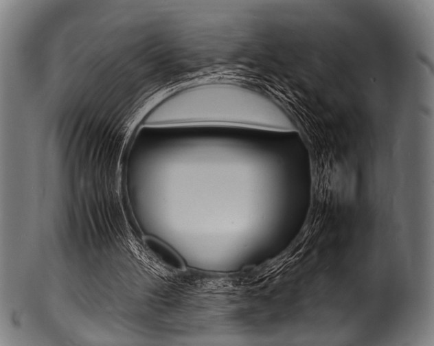 X0000100980100200806241158