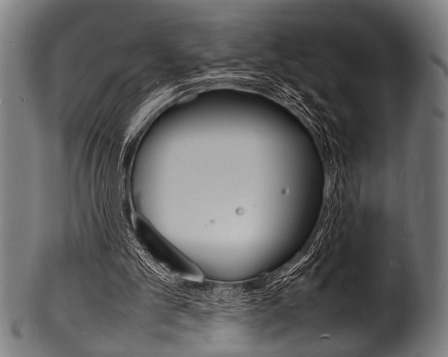 X0000100980101200806241157
