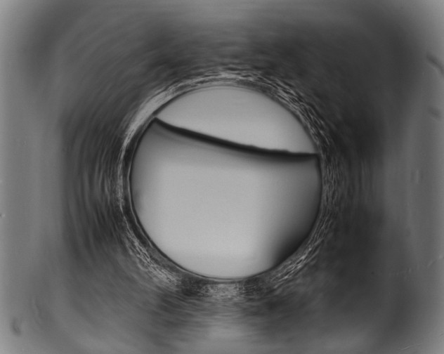 X0000100980102200806241157