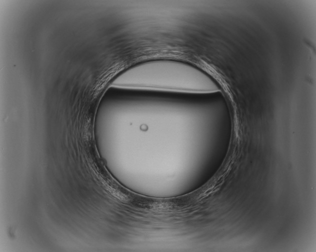 X0000100980105200806241157