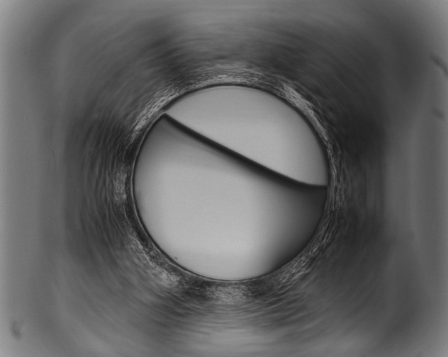X0000100980106200806241157