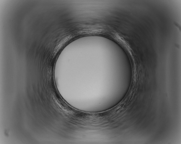 X0000100980107200806241157