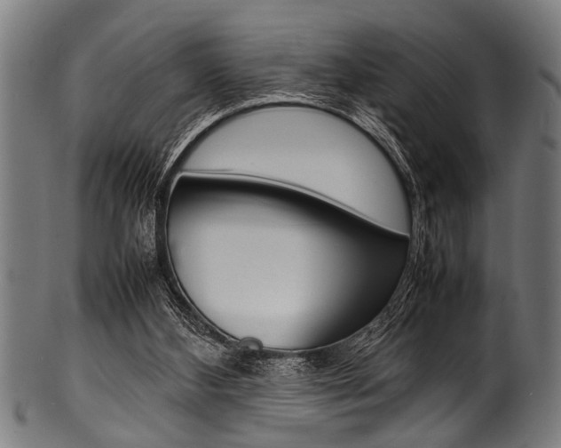 X0000100980108200806241157