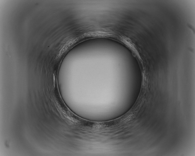 X0000100980109200806241157