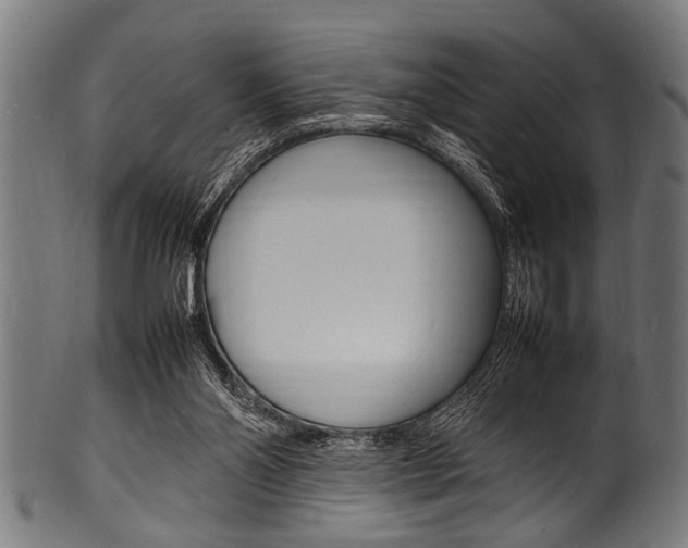 X0000100980110200806241157