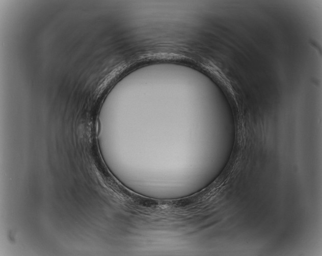 X0000100980111200806241157