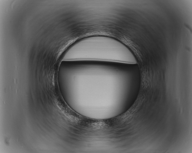 X0000100980112200806241157