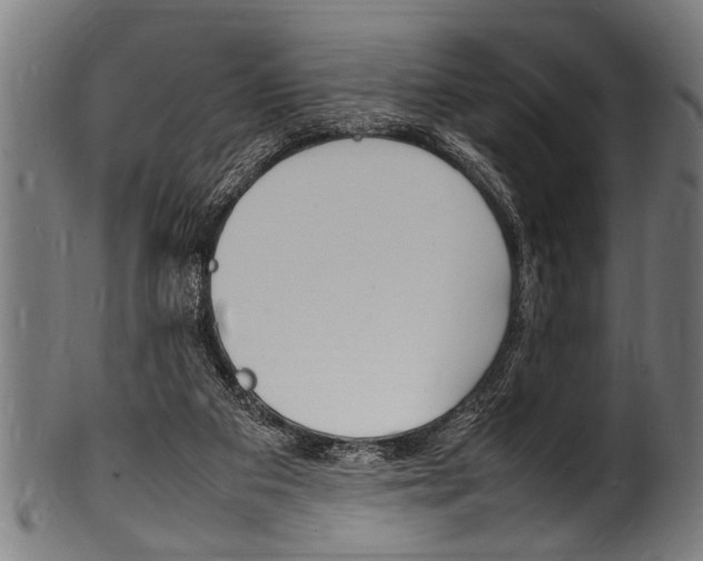 X0000100980113200806241157