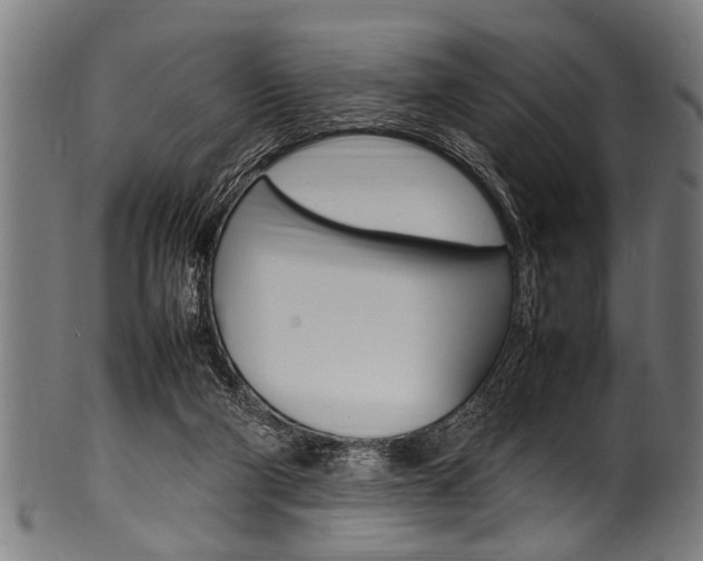 X0000100980114200806241157
