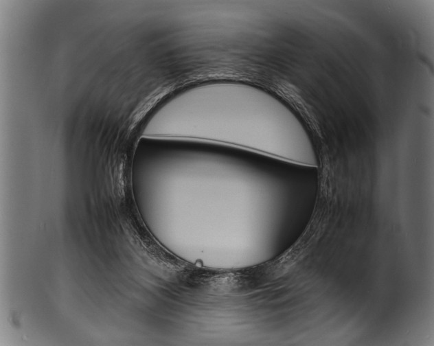 X0000100980116200806241157