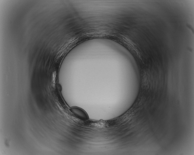 X0000100980118200806241157