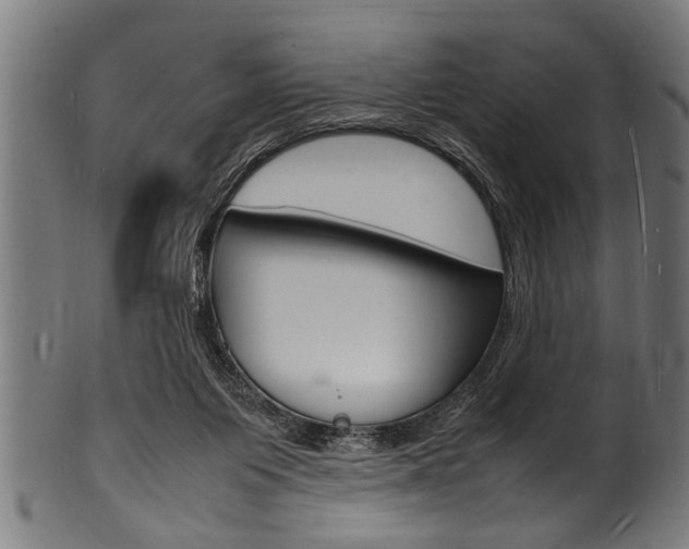 X0000100980119200806241157