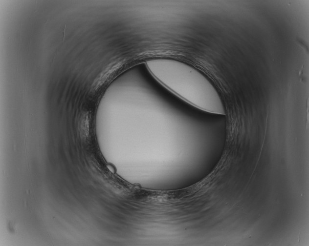 X0000100980120200806241157