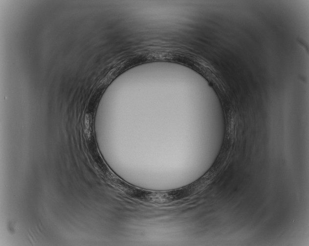 X0000100980121200806241157