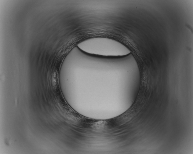 X0000100980122200806241157
