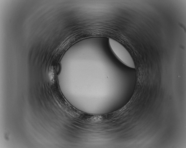 X0000100980124200806241157