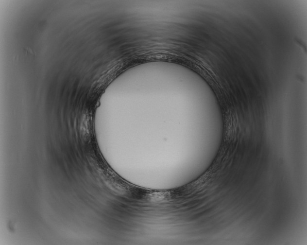 X0000100980126200806241157