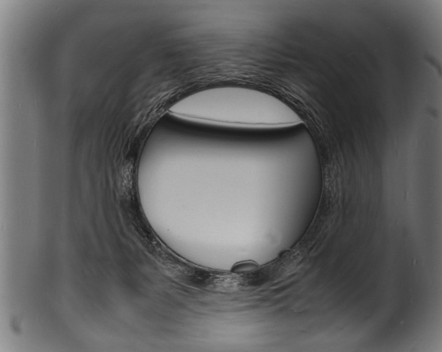 X0000100980127200806241157