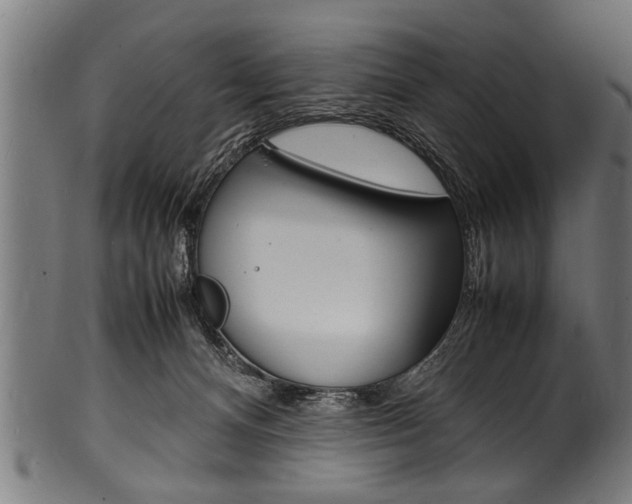 X0000100980128200806241157