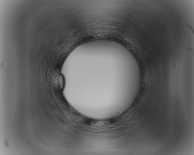 X0000100980129200806241157