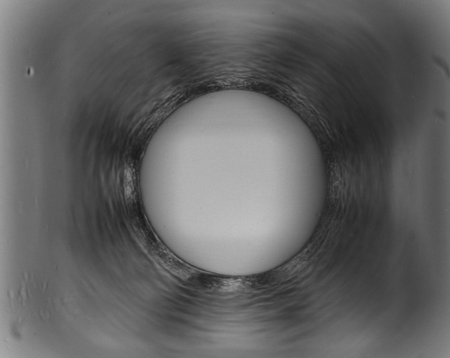 X0000100980130200806241157