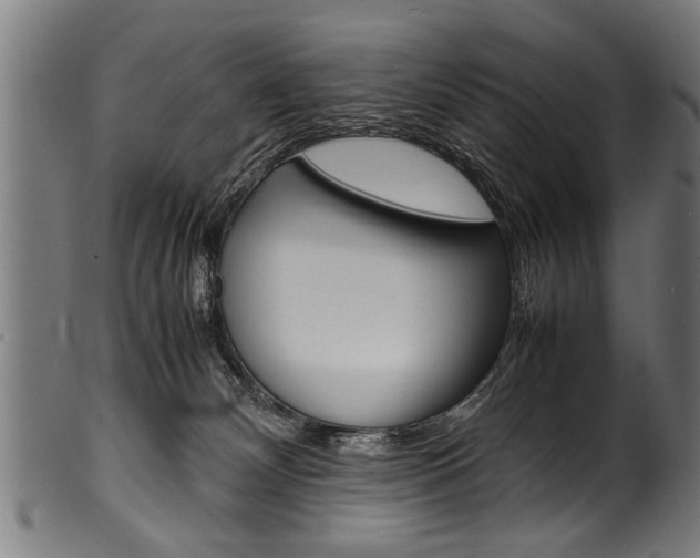 X0000100980132200806241157