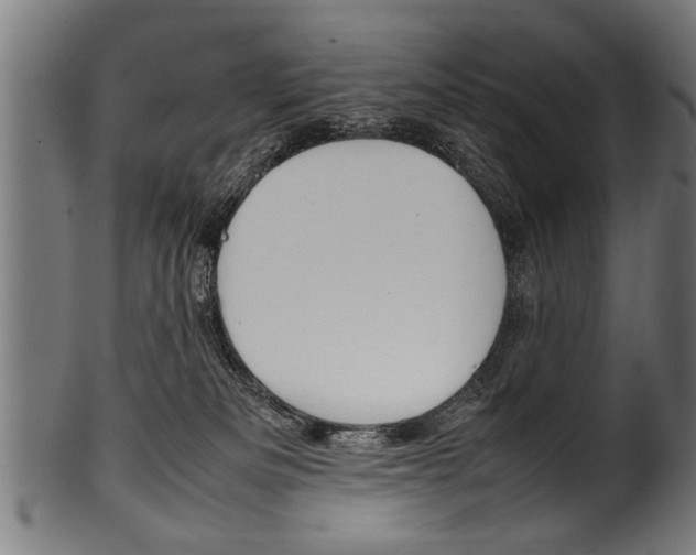 X0000100980133200806241157
