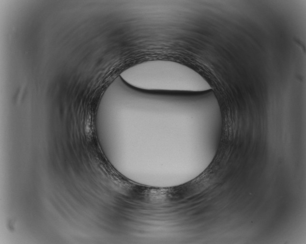 X0000100980134200806241157