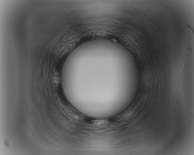 X0000100980135200806241157