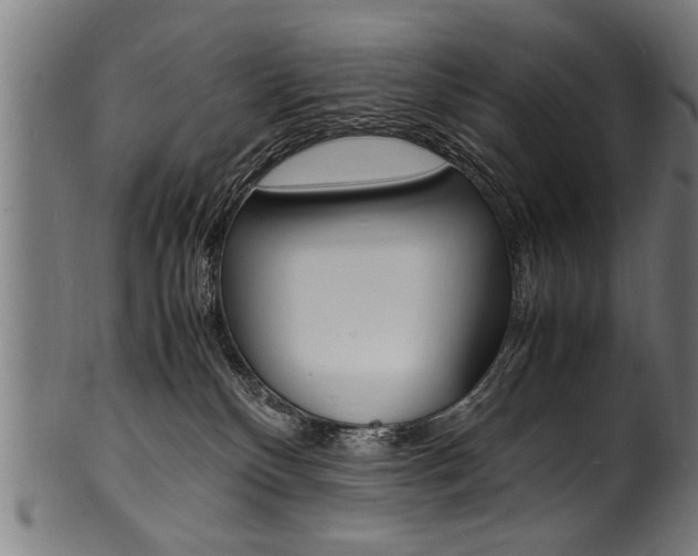 X0000100980136200806241157
