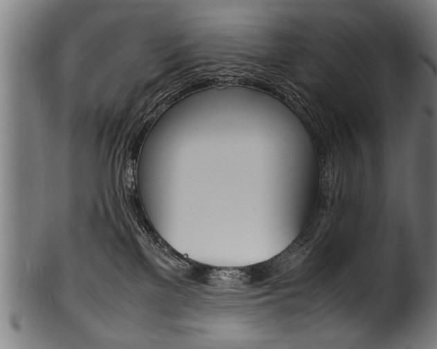 X0000100980137200806241157