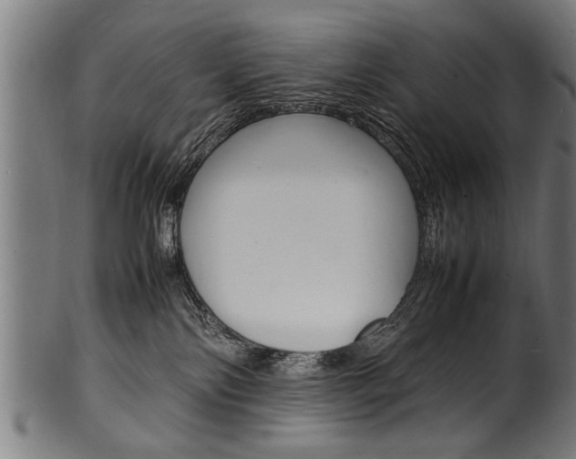 X0000100980138200806241157