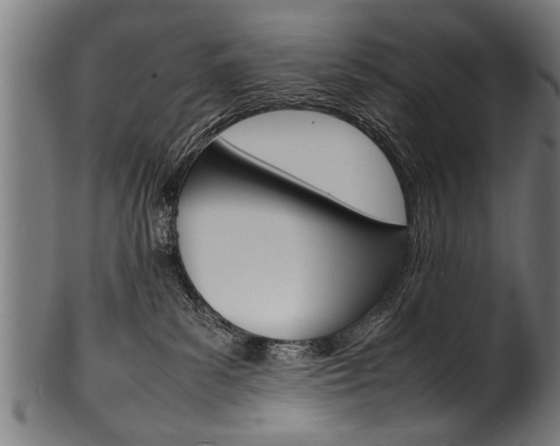 X0000100980139200806241157