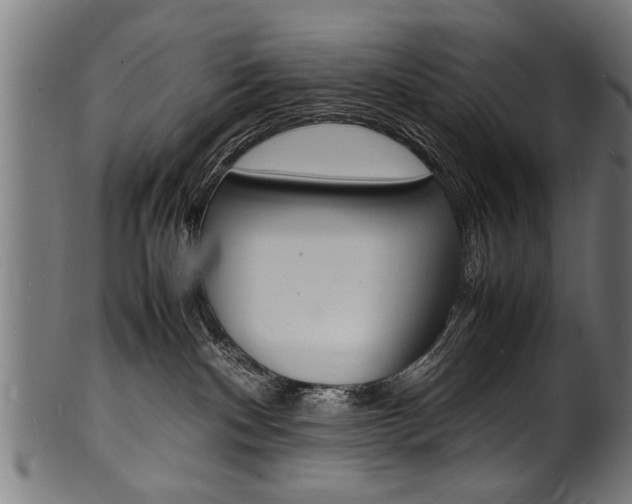 X0000100980140200806241157