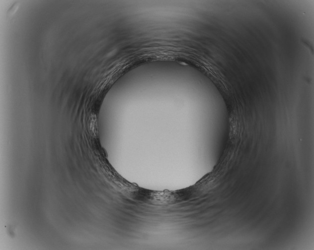 X0000100980141200806241157