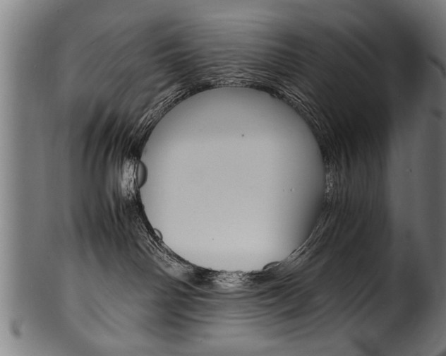 X0000100980142200806241157